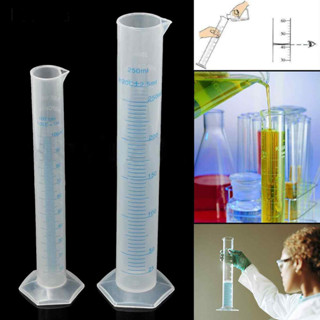 洛陽牡丹 100/250ml塑膠量筒 耐酸鹼 pp量筒 實驗室用品