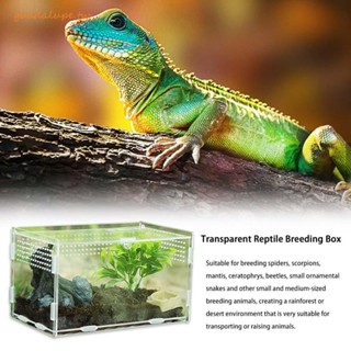 GUADALUPE孵化器爬行動物專業的進料箱青蛙集裝箱蜥蜴昆蟲用品