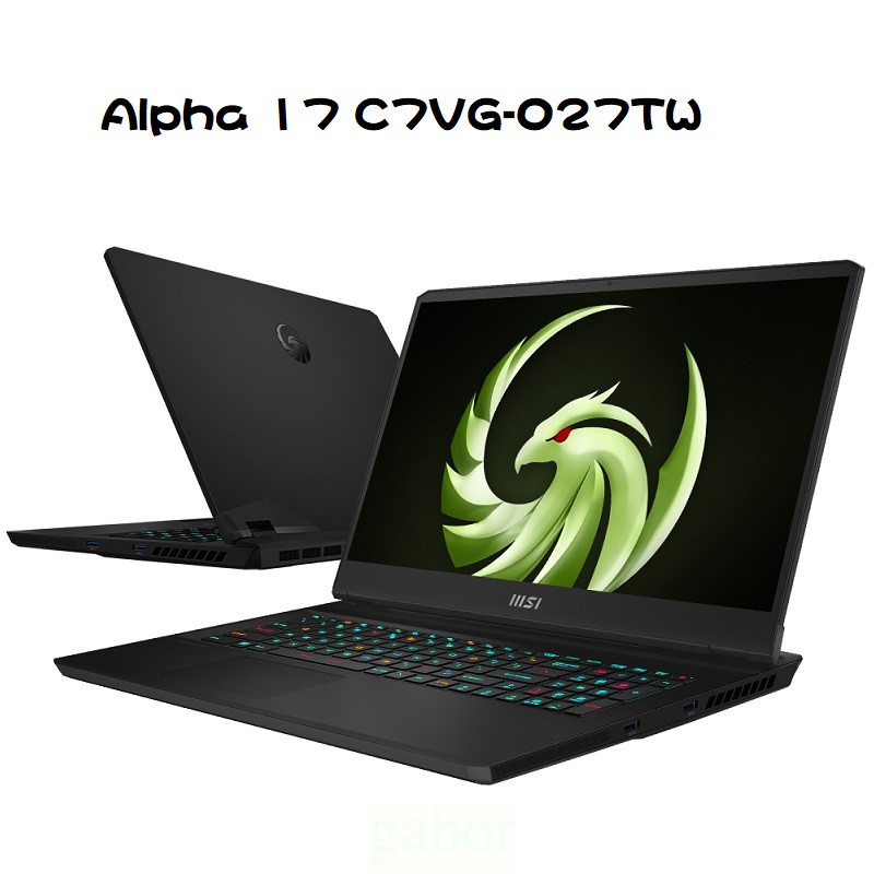 【特仕筆電】MSI微星 Alpha 17 C7VG-027TW電競筆電(R9 7945HX/16G/1TB/RTX407