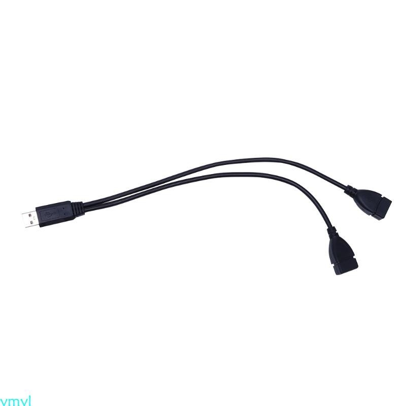 Ymyl USB 2 0 延長線 USB 2 0 公對母,用於額外電源數據 Y 分配器充電器延長線 32 厘米 12 6