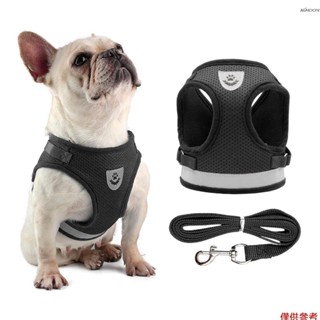 狗背帶和皮帶套裝反光可調節網眼背心適用於小型犬小狗貓