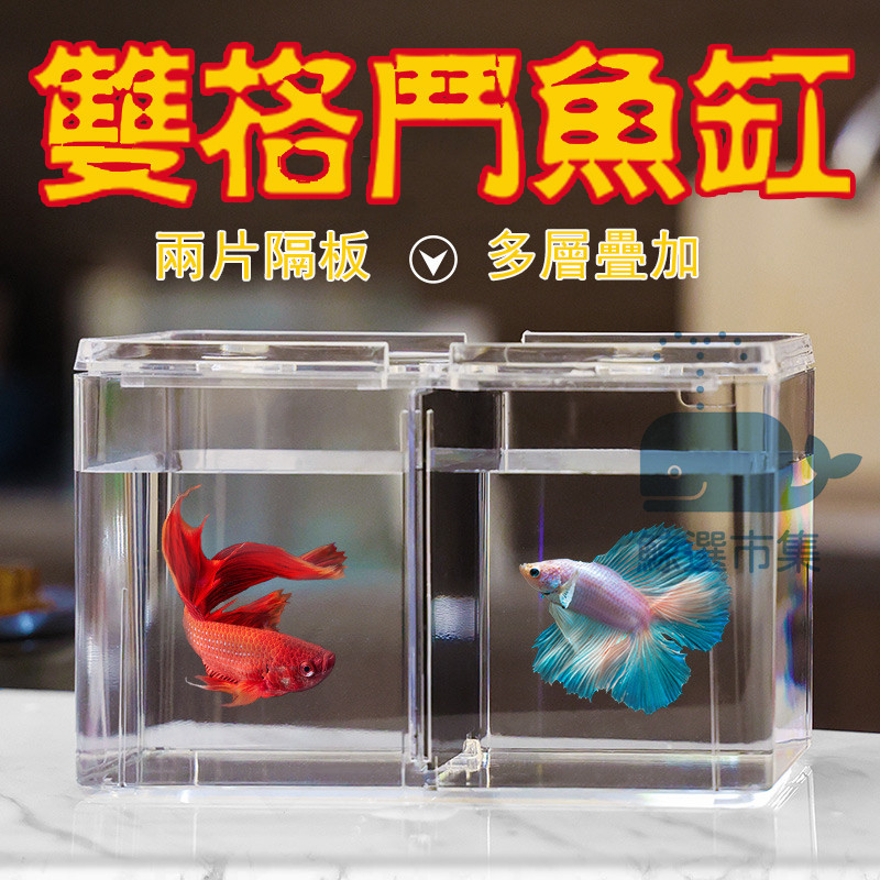 【台灣現貨】鬥魚缸 鬥魚盒 觀賞魚缸 懶人魚缸 雙格鬥魚缸 單格鬥魚缸 孔雀魚缸 小魚缸 鬥魚魚缸