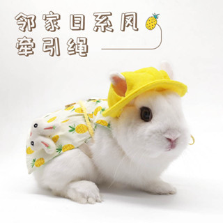 【现货】寵物兔子衣服 兔兔出遊牽引繩服飾 兔兔牽引衣套裝 兔子胸背帶 兔兔牽引绳 外出服 兔兔裝飾品服飾