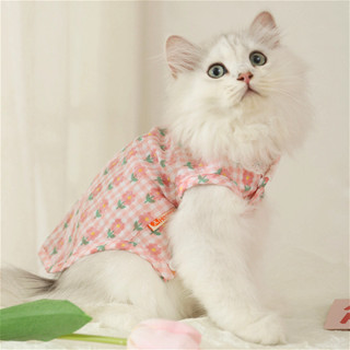 夏季薄款防掉毛夏天小貓藍貓寵物貓貓可愛幼貓的夏天背心貓咪衣服