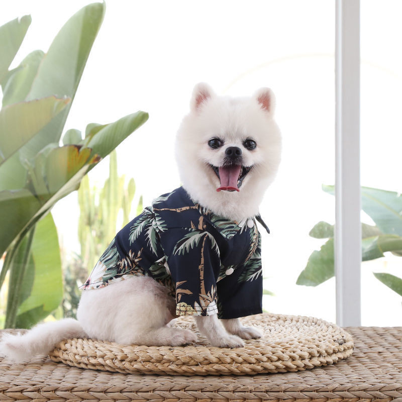 鳳梨襯衫夏威夷風寵物衣服 泰迪比熊金毛寵物狗狗春夏季衣服
