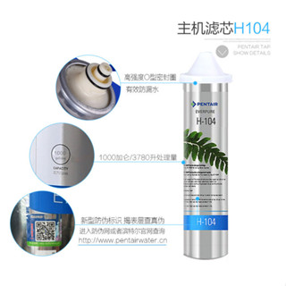 【現貨】2024年授權專賣 美國愛惠浦淨水器濾芯家用直飲H104/H100去鉛水垢