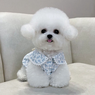 狗狗衣服秋冬款帥氣春秋季 【92%好評率】狗狗衣服夏季薄款帶牽引扣法式碎花仙女裙子新款寵物比熊泰迪貓咪