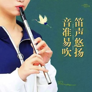 【演奏級】愛爾蘭哨笛直豎笛子6孔初學者成人演奏級樂器熱賣現貨24.3.28