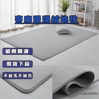 臺灣♠桃園出貨ins風珊瑚絨地毯 純色地毯 床邊地墊 絨毛地墊防滑地墊 床邊地毯 地毯地墊 簡約風地毯 客廳地毯地毯訂製
