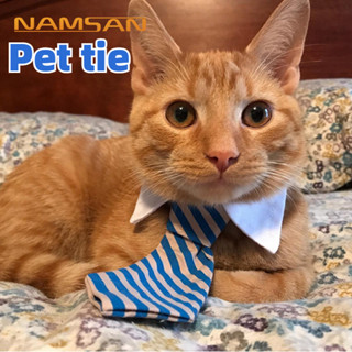 新款寵物配飾領結狗領帶夏季貓配飾狗領結