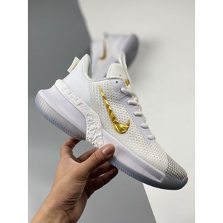 [公司NK] LeBron Ambassador XIII 詹姆斯 使節13 低幫實戰籃球鞋