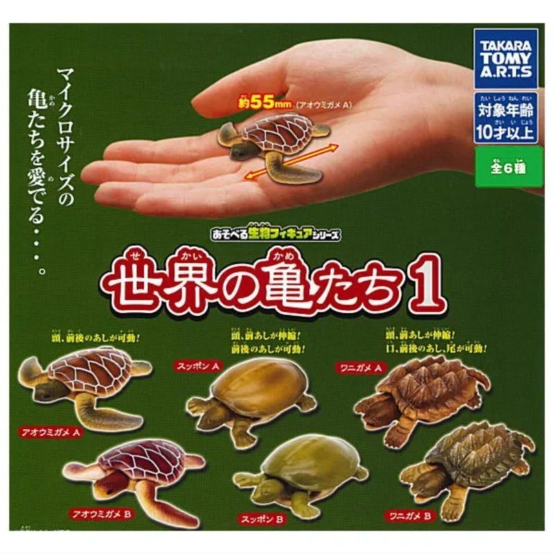 【BTF】現貨日本T-ARTS扭蛋 可玩生物手辦世界的烏龜門 圖鑑 擺件 ERSP