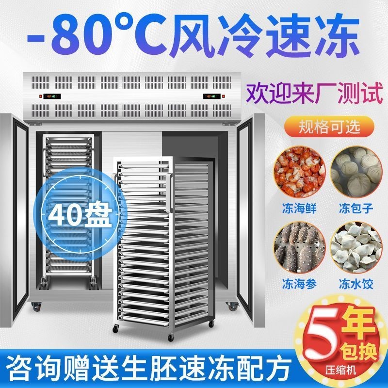 【急速出貨】速凍機急凍冰箱小型商用液氮冷凍低溫櫃海参慕斯包子全自動速凍櫃