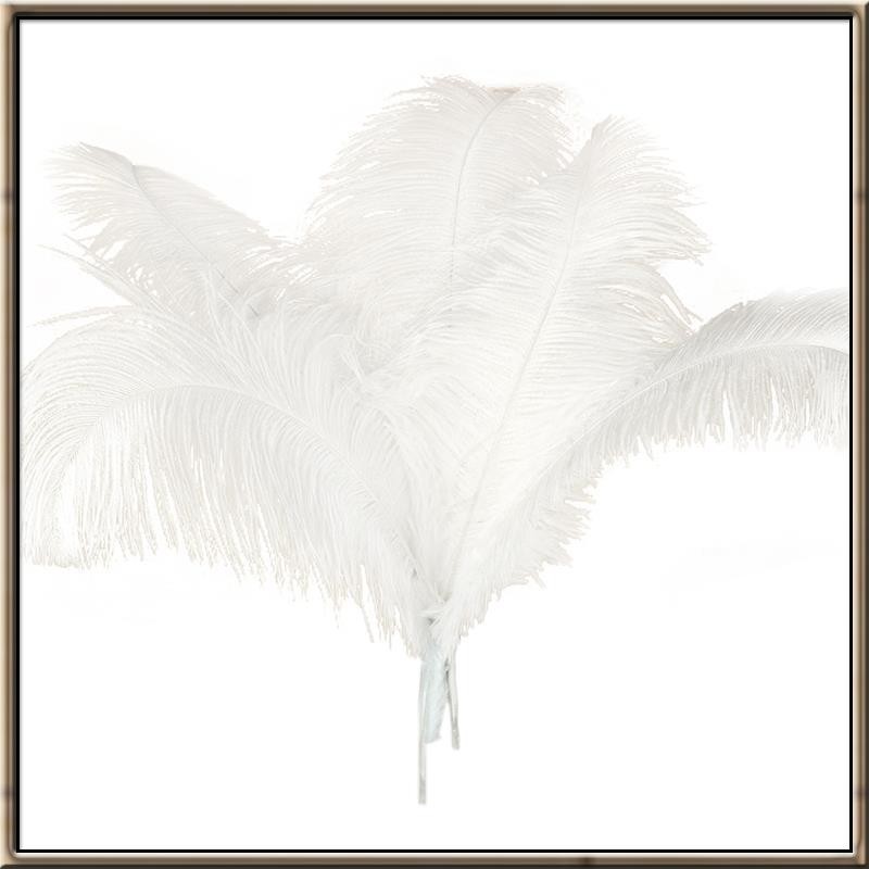 10 件天然鴕鳥羽毛婚禮派對裝飾白色 45-50 厘米