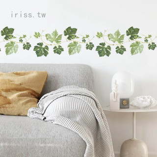 Iris1 牆貼綠色葉子蔓藤貼紙 牆角裝飾可移除貼紙