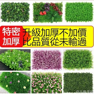 人造綠植模擬植物牆室內陽臺背景客廳門頭壁掛塑膠草坪室外假草皮