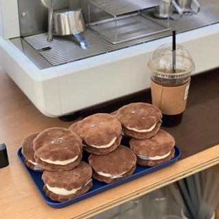貝貝寵物 Ins新款韓國曲奇餅乾藏食聞嗅寵物玩具狗狗 外貿原單 毛絨發聲 臺灣出貨