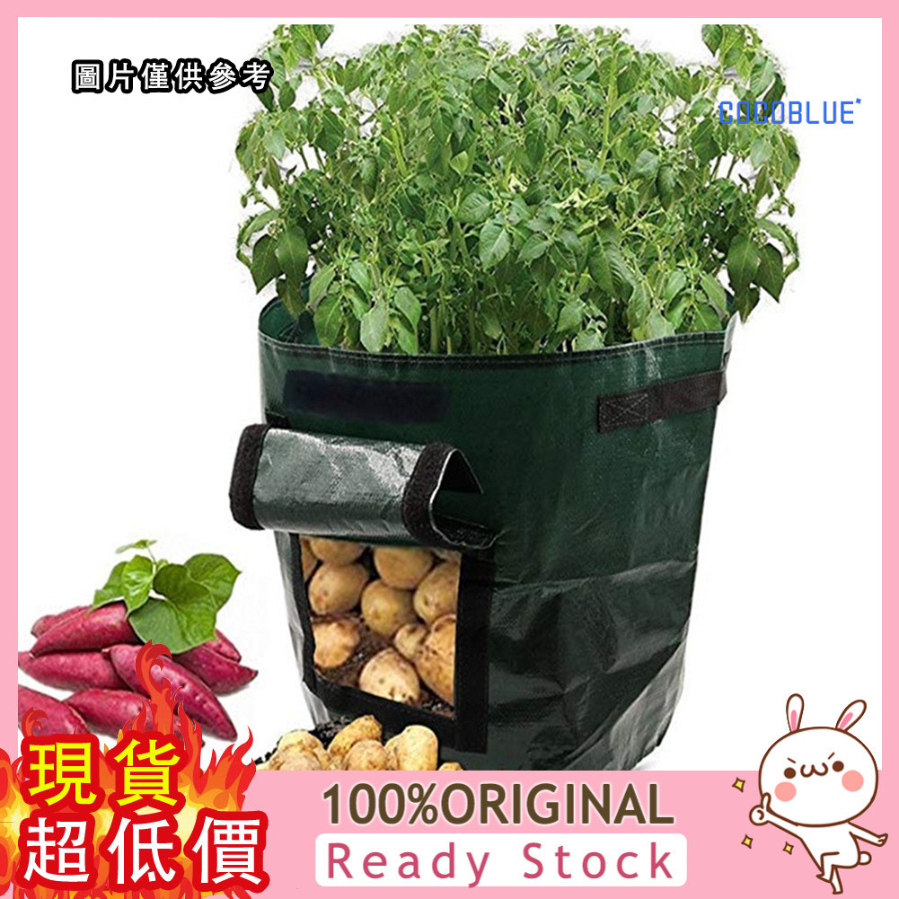 [稞稞百貨] PE土豆種植袋 馬鈴薯紅薯種植袋 西紅柿蔬菜植物袋