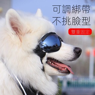 臺灣出貨☆狗狗眼鏡 狗眼鏡 中型犬 大型犬狗狗防風眼鏡 狗防風鏡 大狗眼鏡 防風眼鏡 寵物墨鏡 寵物眼鏡 寵物護目鏡