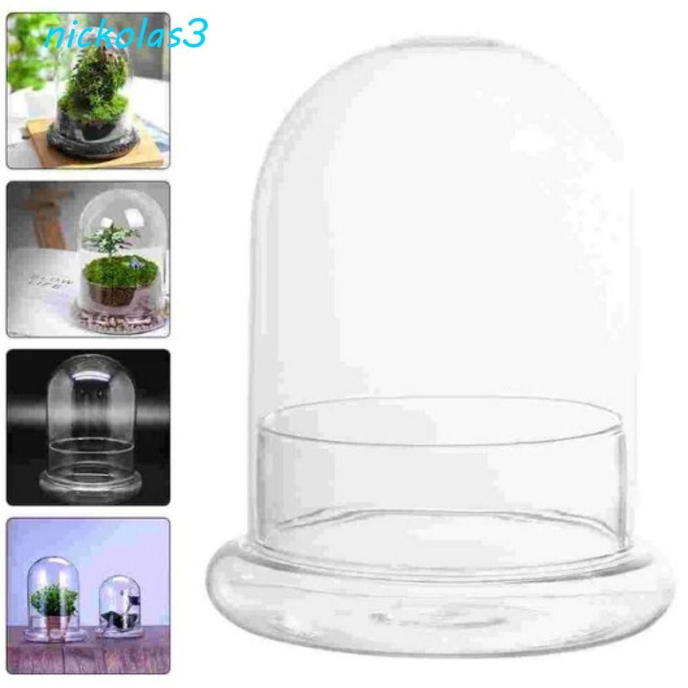 NICKOLAS微型景觀瓶,耐熱無味圓柱形植物花瓶,時尚保鮮防塵透明玻璃罩花園