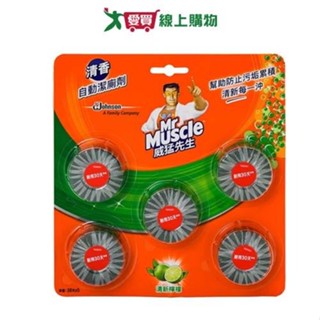 威猛先生活性炭自動潔廁劑38gx5入【愛買】