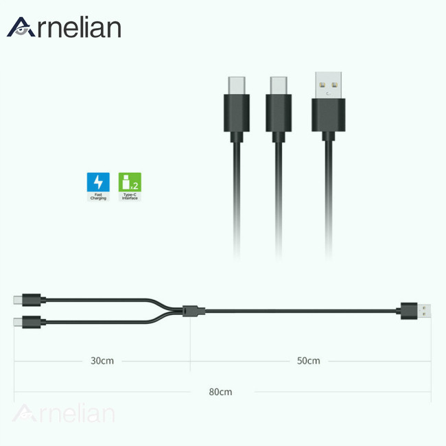 Arnelian 2合1 Usb數據線充電器充電線Type-c接口兼容Switch/PS5/PSVR2手柄