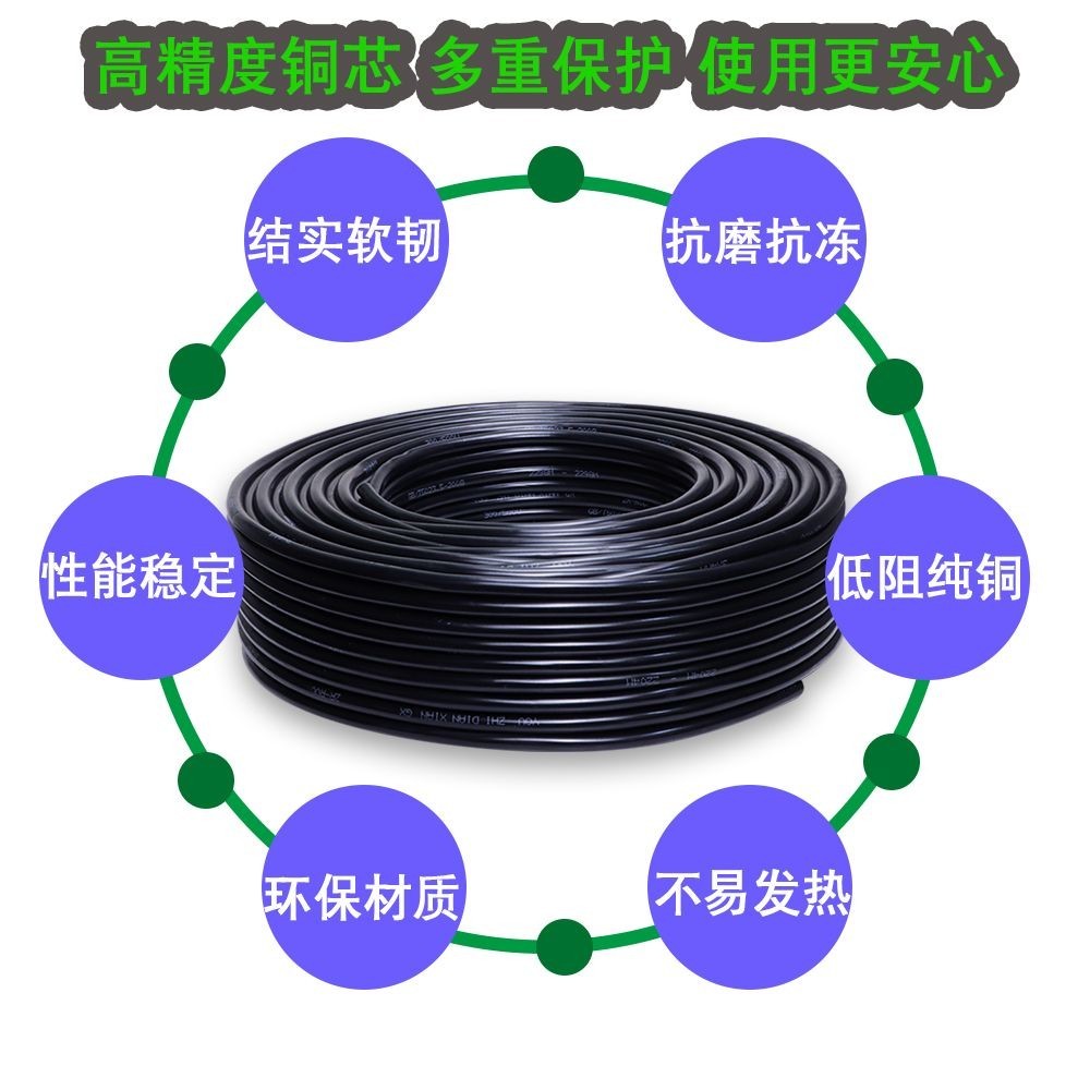 台灣出貨國標RVV護套線三相純銅戶外軟電纜2.5/4/6/10平方2芯工地銅芯線