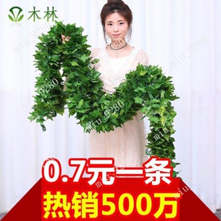 假花藤 裝飾花藤 模擬綠蘿植物假綠葉藤條藤蔓塑膠葡萄葉仿真花壁掛弔頂裝飾管道