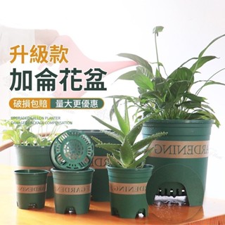 【臺灣出貨】升級加侖盆 青山盆 控根盆 透氣盆 盆栽容器 戶外花盆 多肉花盆 種植盆 種菜盆 花器種植盆器 園藝盆
