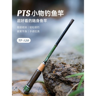 PTS 小魚釣竿 露營釣魚竿 便攜魚竿超輕碳纖維魚竿 釣魚裝備