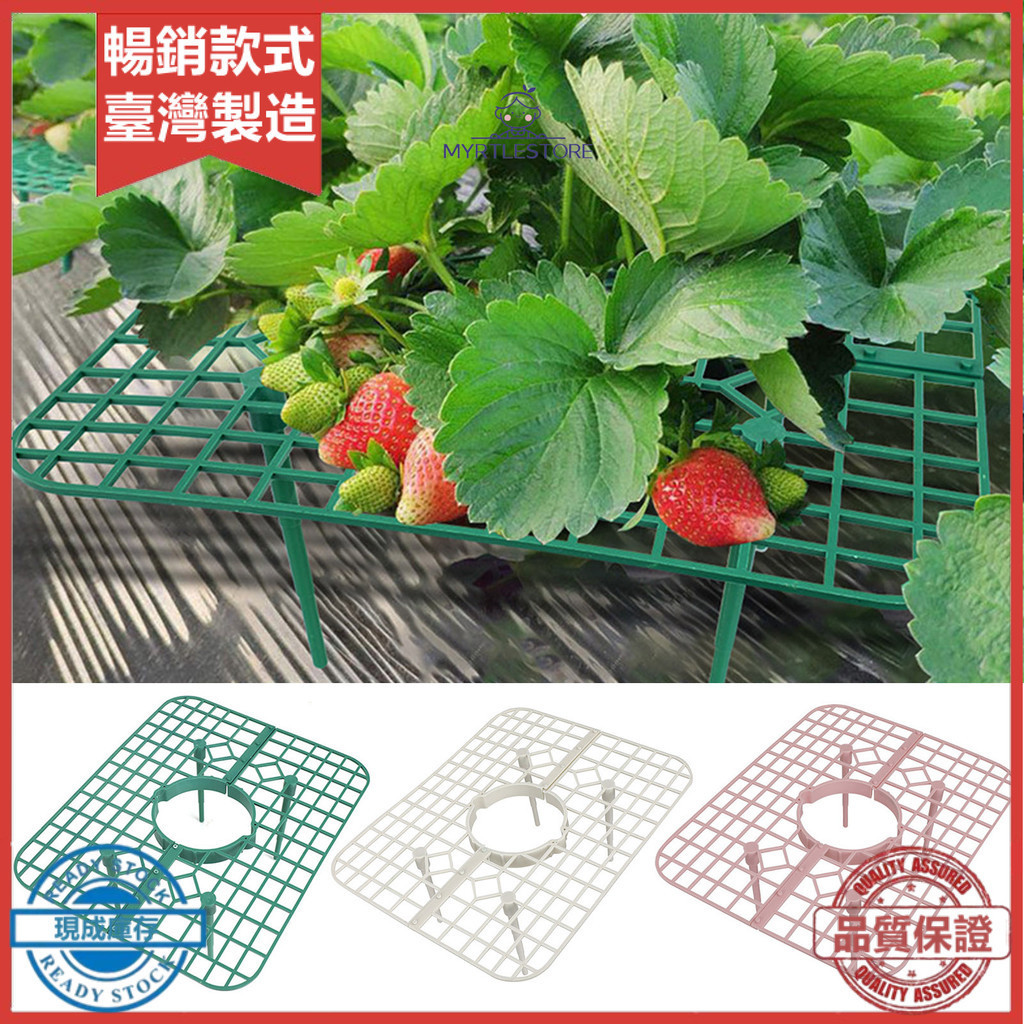 草莓立體栽培架種植托架神器方形盆栽培托盤架支架防爛水培草莓架