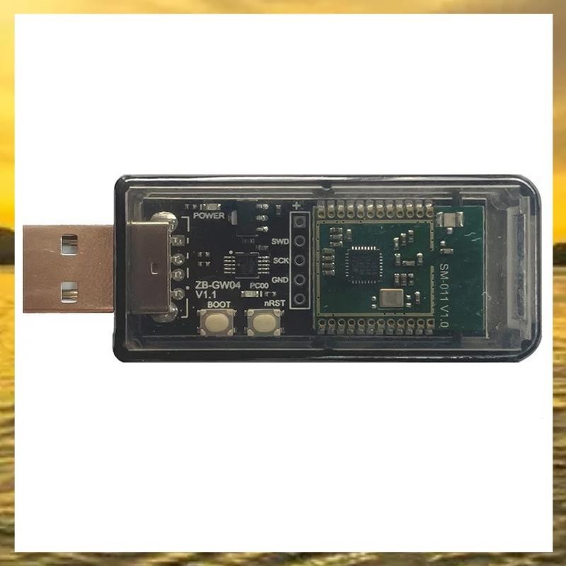 (Z I H F)ZigBee 3.0 Silicon Labs 迷你 EFR32MG21 開放式集線器網關 USB 加