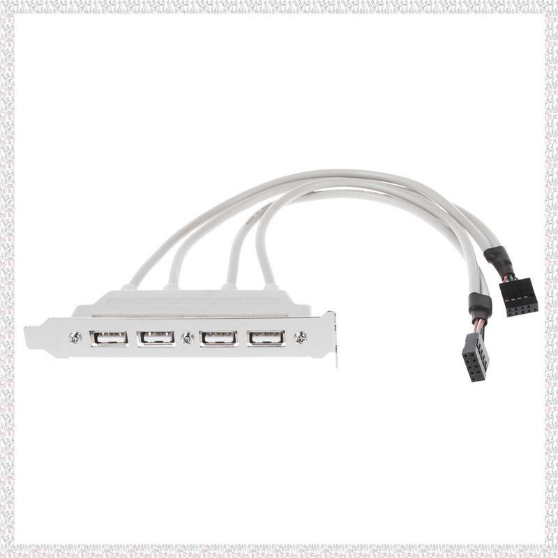 (U P Q E)雙主板 9Pin 接頭轉 4Port USB 2.0 母線 PCI 支架