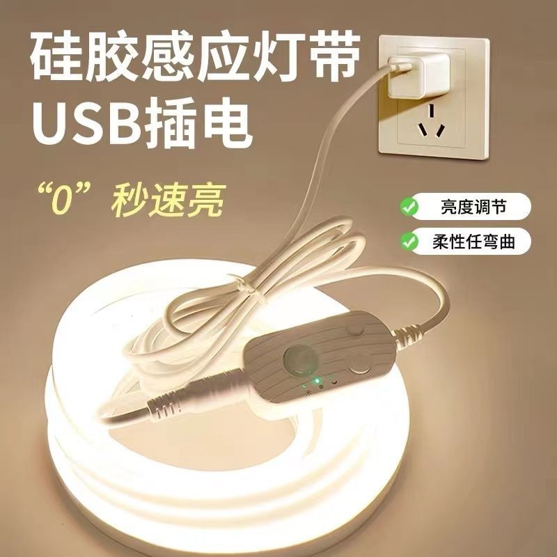 USB接口無光斑點霓虹燈帶人體感應LED燈條帶開關小夜燈床衣櫥櫃燈