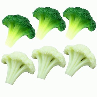 模擬蔬菜花椰菜西蘭花模型人造食物模型家庭聚會市場展示廚房裝飾攝影道具