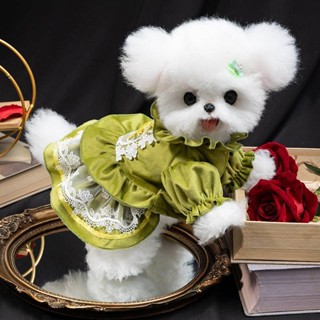 【特惠免運】寵物衣服 狗狗衣服 貓咪衣服 狗狗衣服洛麗塔絲絨裙子幼犬小型犬小柴