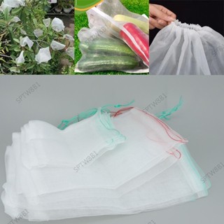 水果網種植袋園藝工具保護昆蟲葡萄花蔬菜儲存防蟲害鳥 TW8B1