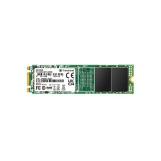 新風尚潮流 【TS250GMTS825S】 創見 250GB 825S M.2 2280 SSD 固態硬碟 SATA 3