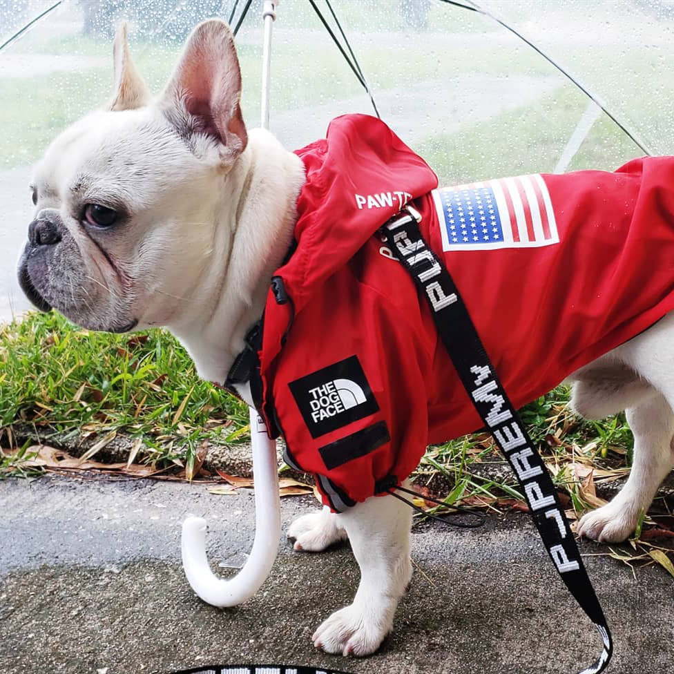 美國國旗潮牌防風防雨北狗面狗狗大型犬雨衣狗狗寵物衝鋒衣雨衣