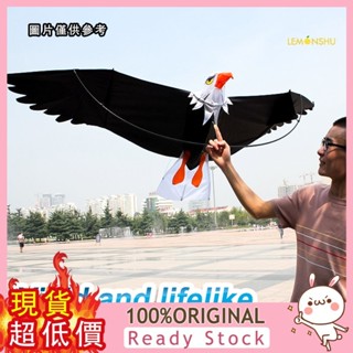 [檸檬樹戶外] 立體老鷹風箏3D風箏前撐杆老鷹Eagle kite
