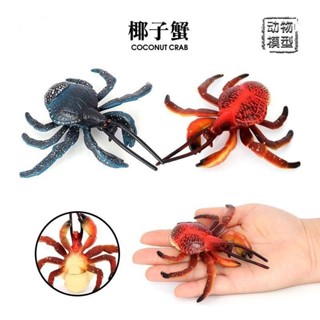 仿真海洋動物模型椰子蟹八卦蟹螃蟹擺件靜態實心模型兒童認知玩具