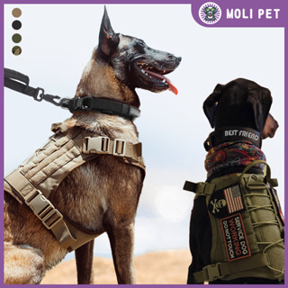 戰術軍用背心 K9 寵物戶外訓練背心狗背帶和皮帶套裝帶項圈適用於中型大型犬德國牧羊犬