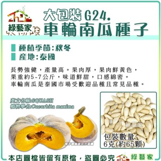【綠藝家】大包裝G24.車輪南瓜種子6克(約65顆)F1 長勢強健，產量高。果肉厚 口感綿密 果菜類大包裝