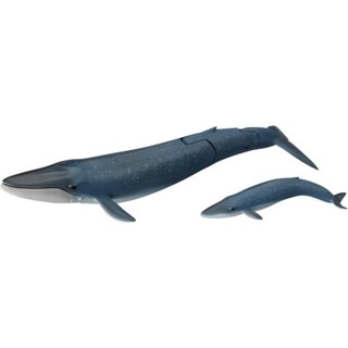 Tomy Takara TOMY Takara 動物模型玩具海洋世界海洋鯨藍鯨親子870012 1lfkml