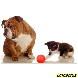 Lmcactus 狗防咬球耐用寵物狗咀嚼球玩具寵物訓練用品