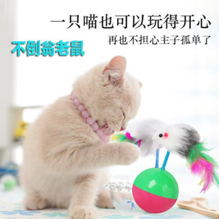 【Win】💕 抖音爆款 狗貓咪玩具 不倒翁老鼠毛絨羽毛逗貓棒 訓練寵物互動玩具 貓毛絨老鼠