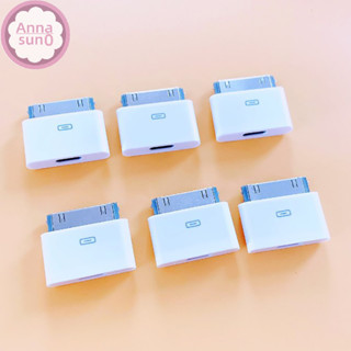 Annasun IOS 轉 30Pin 適配器 8Pin 公轉 30 Pin 母充電轉換器 HG