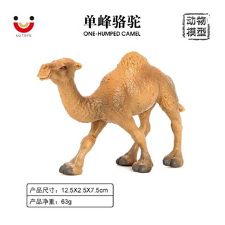 ♞廠家批發♞仿真野生 駱駝動物模型套裝 單峰駱駝 兒童塑膠仿真玩具擺件