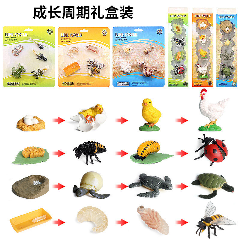 ✋樂樂屋✋仿真動物模型青蛙海龜蝸牛蜘蛛蝴蝶蜜蜂公雞成長週期兒童認知玩具