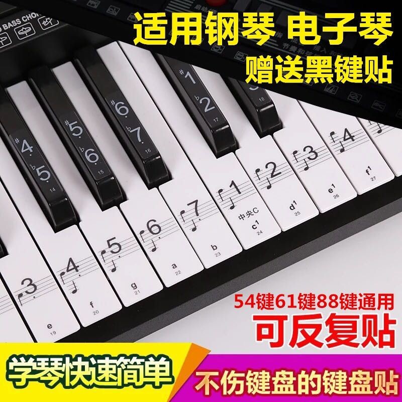 【快速出貨】透明鋼琴鍵盤貼紙88鍵49/54/61鍵電子琴白鍵貼紙五線譜簡譜音標貼